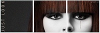 Intercoiffure JUST LOOK 2012 war wieder ein voller Erfolg