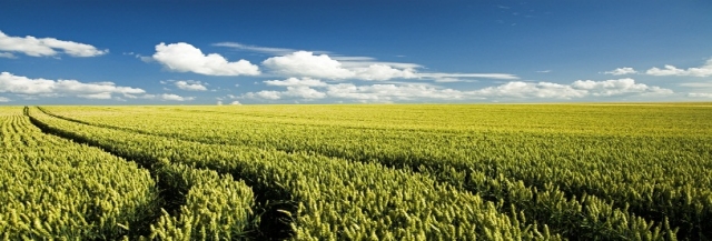 The 19th iran agro 2012 - 57 exhibitors from 7 countries and 30,000+ visitors expected