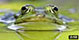 YouTube Video Amazing Nature YouTube Video Amazing Nature