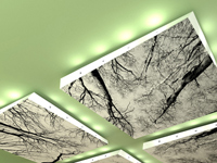 www.Lindner-Group.com www.Lindner-Group.com