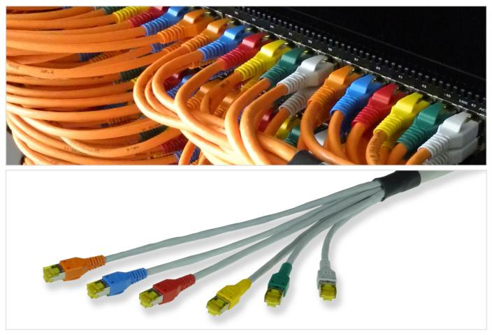 Trunk Patch Cable Trunk Patch Cable