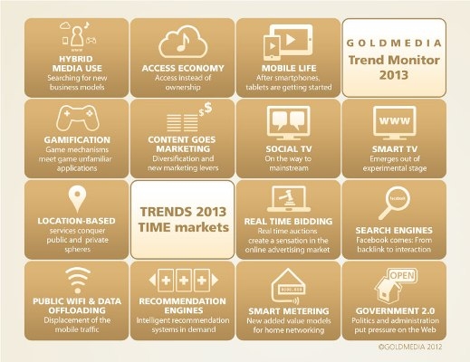 Goldmedia Trend Monitor 2013