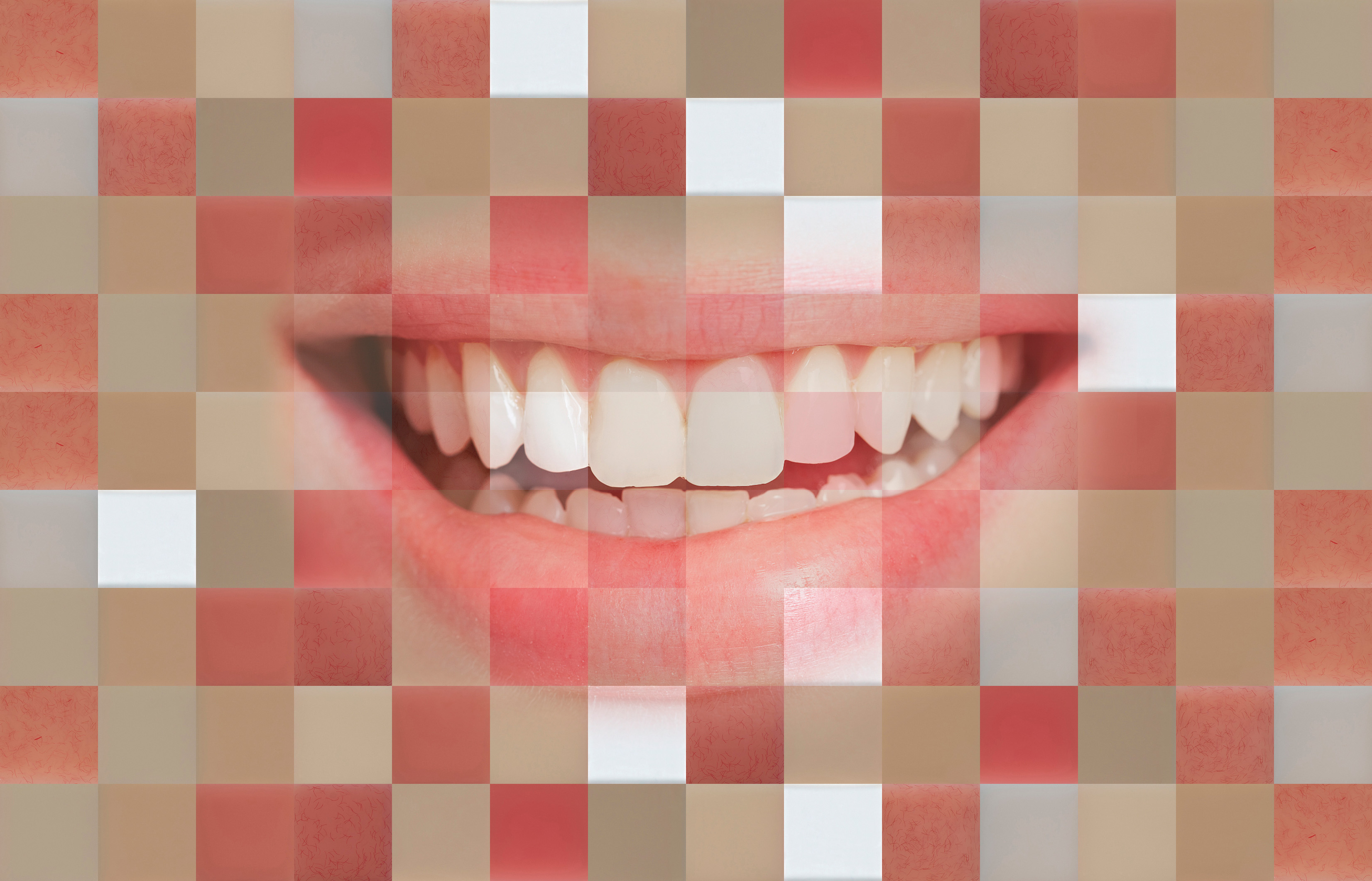 HIGH.lign - Vitality in prosthetics