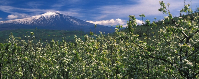 Sell Textlinks and earn money