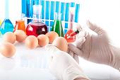 Is your food free from dioxin contamination?