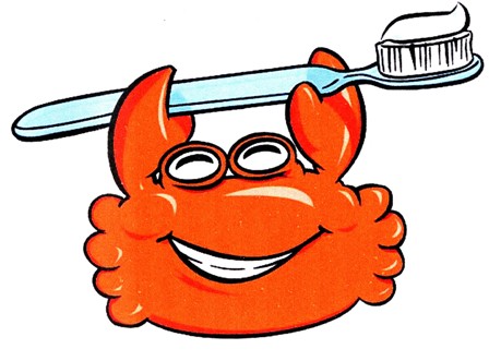 Chitosan based products in dentistry Helmuth Focken Biotechnik e.K Chitosan based products in dentistry Helmuth Focken Biotechnik e.K