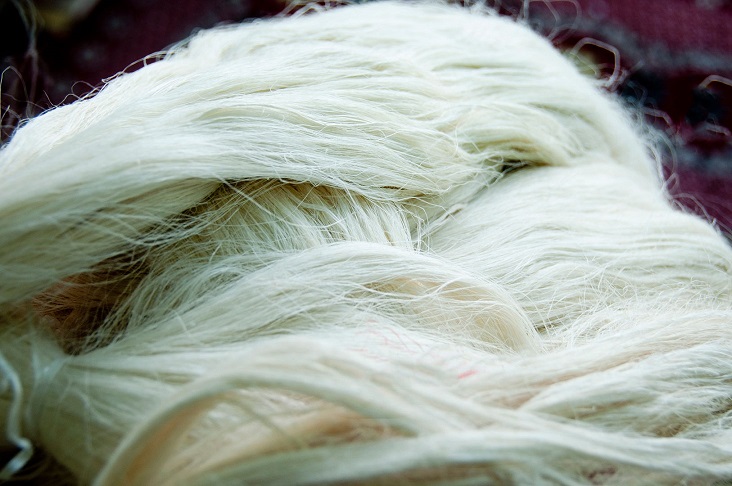 Pineapple Leaf Fibre