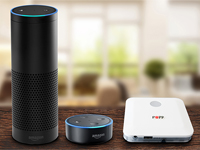 As of now the POPP HUB enables intuitive smart home voice control via Amazon Echo