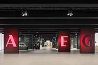 Theatrical appearance for AEG/ Electrolux at IFA 2017. Theatrical appearance for AEG/ Electrolux at IFA 2017.