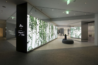 The Forest Zone: A ten-metres long two-sided LED wall visualizes perspectives of a mountain forest. The Forest Zone: A ten-metres long two-sided LED wall visualizes perspectives of a mountain forest.