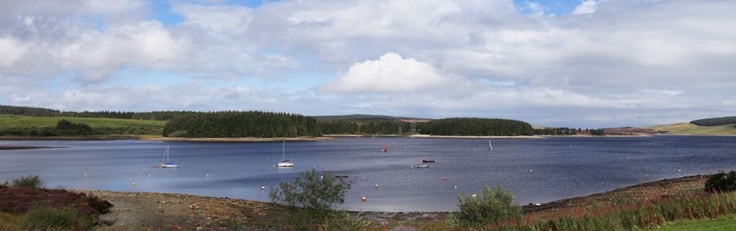 Llyn Brenig Picnic Area Llyn Brenig Picnic Area