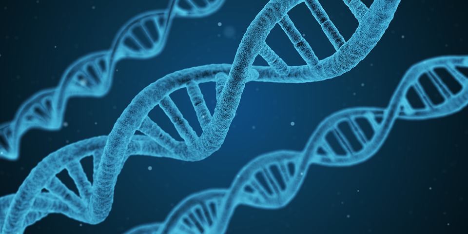 biosimilars biosimilars