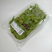 bioplastic packaging market