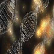 molecular diagnostics
