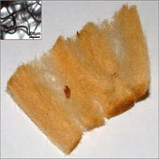 cellulose acetate cellulose acetate