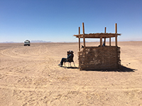 Bird observation in the project area