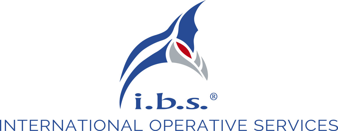 i.b.s. Logo