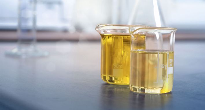 High-performance Alternative Polyols Made by RAMPF
