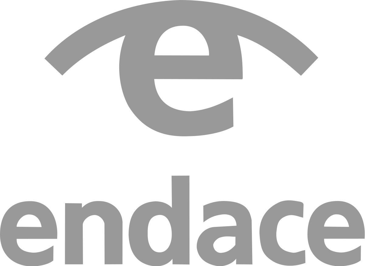 Endace logo Endace logo
