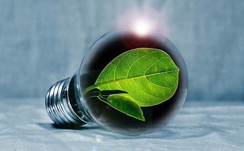 energy management software market