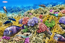 marine biotechnology industry
