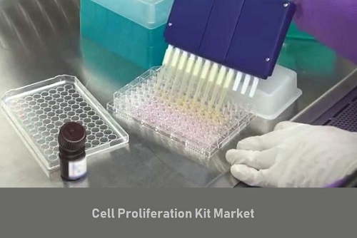 cell proliferation kits market