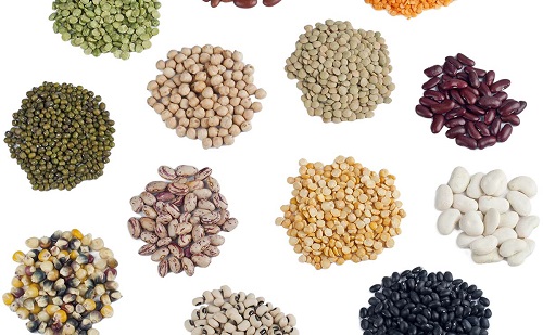 biotech seeds market