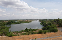 The agricultural Areas on River Bénoué banks will benefit from the irrigation and drainage system The agricultural Areas on River Bénoué banks will benefit from the irrigation and drainage system