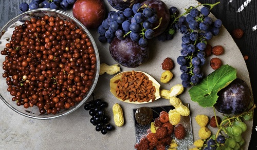 resveratrol market