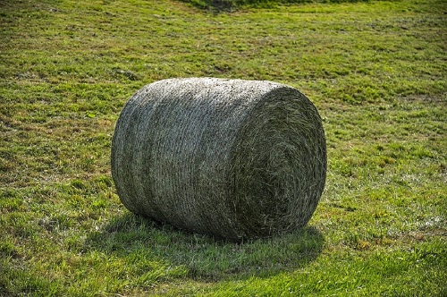 hay market hay market