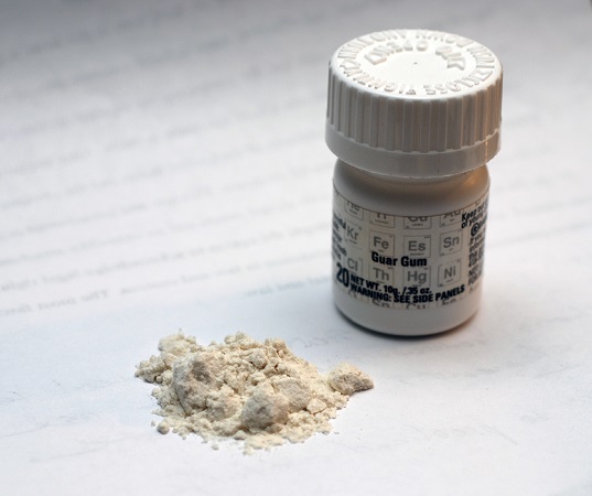 guar gum market