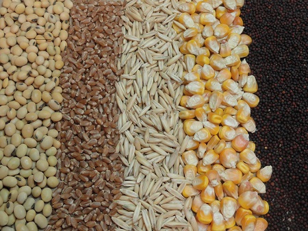 feed ingredients market