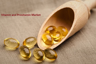 Vitamin and Provitamin Market