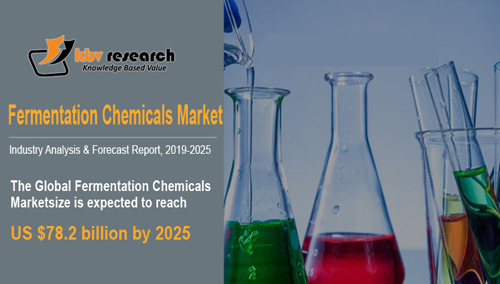 Fermentation Chemicals Market