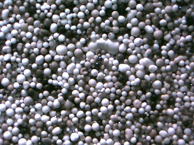 FCC Catalyst and Additives Market