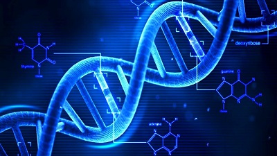 Transfection Technologies Market