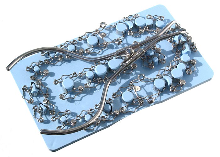 Set of 25 Walser Tooth Matrices with forceps