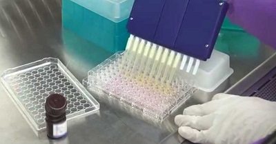 Cell Proliferation Kit Industry Cell Proliferation Kit Industry