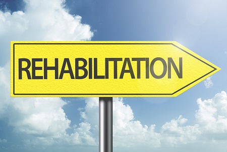 Behavioral Rehabilitation Industry