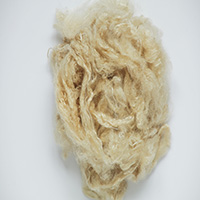 SeaCell™fiber, smartfiber AG SeaCell™fiber, smartfiber AG