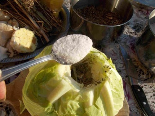 The secret of remedies The secret of remedies