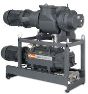 Vacuum system with screw vacuum pumps and vacuum boosters Vacuum system with screw vacuum pumps and vacuum boosters