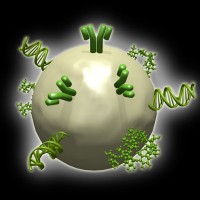 Gold nanoparticle conjugate Gold nanoparticle conjugate