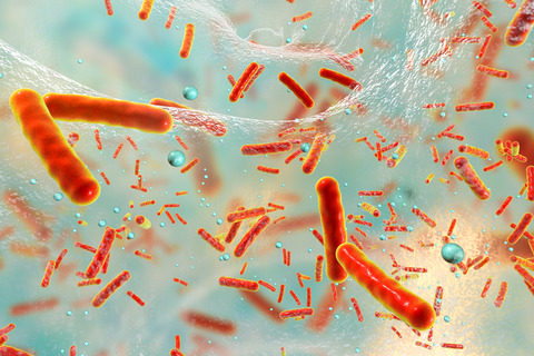 Biofilm. Copyright AdobeStock/Dr_Microbe