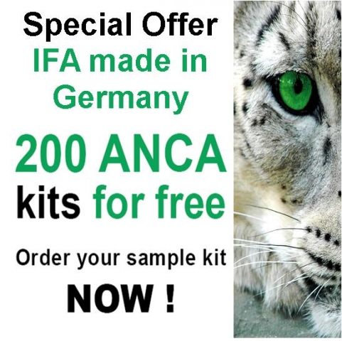IFA made in Germany IFA made in Germany