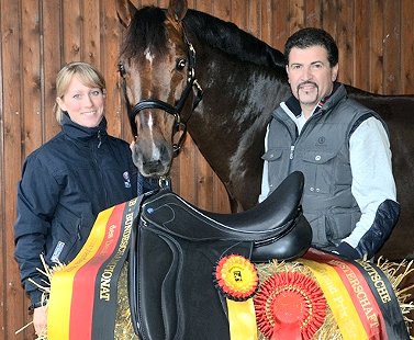 Dressursattel zu gewinnen