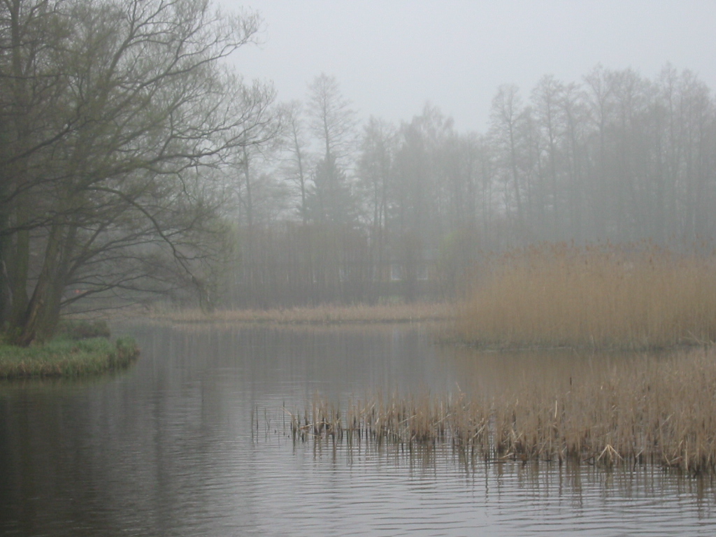 Ein See im Umland von Berlin - von RenéStareczek Ein See im Umland von Berlin - von RenéStareczek