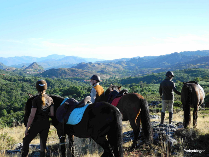 Zu Pferd im Peneda Geres Nationalpark - Reitkurs für Erwachsene mit Perlenfaenger Zu Pferd im Peneda Geres Nationalpark - Reitkurs für Erwachsene mit Perlenfaenger