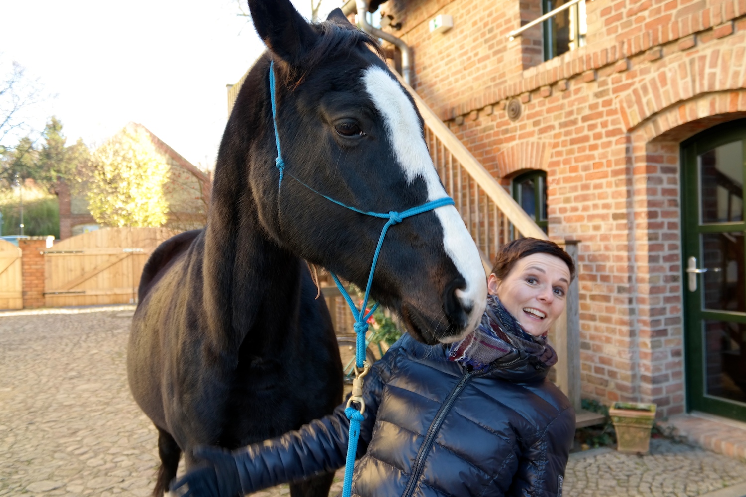 Coaching mit Pferden als Co-Trainer Coaching mit Pferden als Co-Trainer