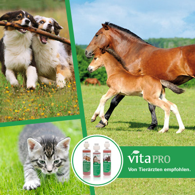 Vita pro für Katzen, Pferde und Hunde Vita pro für Katzen, Pferde und Hunde